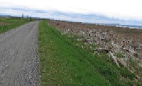 Boundary Bay Regional Park