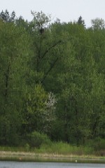 'click' for close-up