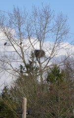 'click' for close-up