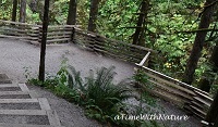 Kanaka Creek - Cliff falls