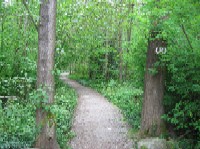 Pacific Spirit Regional Park