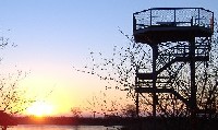 The Reifel Bird Sanctuary