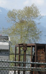 'click' for close-up